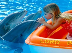loro-parque